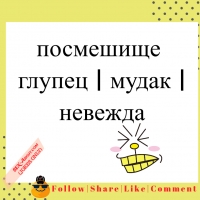 посмешище - глупец | мудак | невежда